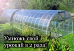 Теплица из поликарбоната «Урожай ПК» 3x10 (труба 20х20 шаг 1м)